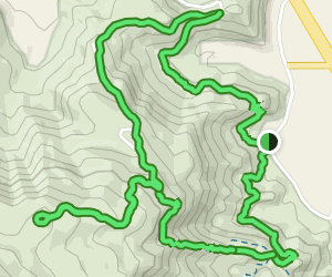 Bump and Grind Trail: 4661 Reviews, Map - California | AllTrails