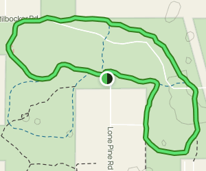 Pine Baron Pathway: Twim Hemlock, Relic Pine, and Highline Loop: 93 ...