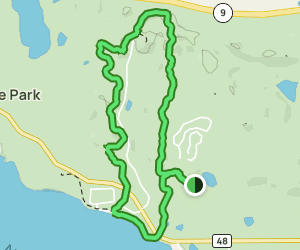 Mount Tom Trail 411 Reviews Map - V1 Trail Us Minnesota Mount Tom Trail At Map 23719363 1653241842 300w250h En US I 1 Style 3 