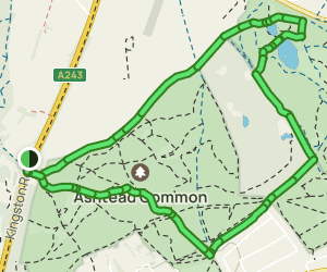 The Star and Ashtead Common Circular: 218 Reviews, Map - Surrey ...