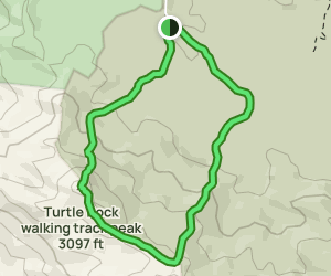 Turtle Rock Circuit: 130 Reviews, Map - Queensland, Australia | AllTrails