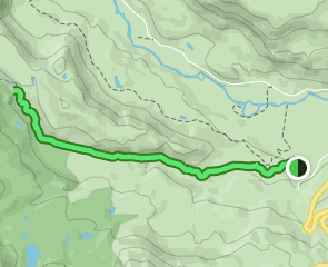 Elk Creek Trail, Colorado - 164 Reviews, Map | AllTrails