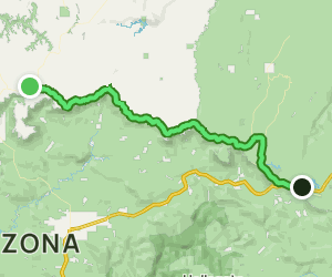 Mogollon Rim Road Scenic Drive: 190 Reviews, Map - Arizona | AllTrails