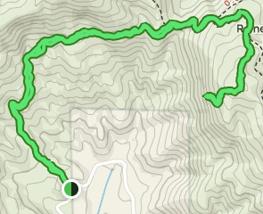 Rainey Mountain Trail [PRIVATE PROPERTY], Georgia - 49 Reviews, Map 