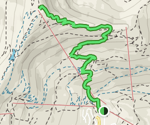 Schweitzer Nature Trail: 271 Reviews, Map - Idaho | AllTrails