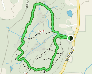 Solomon Woods Blue Trail Loop, Connecticut - 311 Reviews, Map | AllTrails