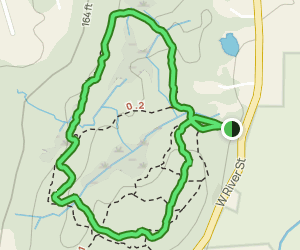 AllTrails | Solomon Woods Blue Trail Loop: 292 Reviews, Map - Connecticut