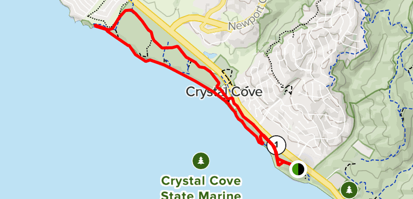 does crystal cove allow dogs