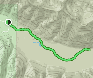 South Fork Hoh Trail: 106 Reviews, Map - Washington | AllTrails