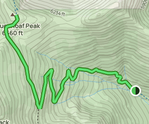 O 39 Brien Creek Trail to Big Sugarloaf - V1 Trail Us Oregon O Brien Creek Trail To Big Sugarloaf Peak At Map 31609518 1689170735 300w250h En US I 1 Style 3 