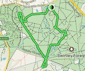 swinley forest mtb map