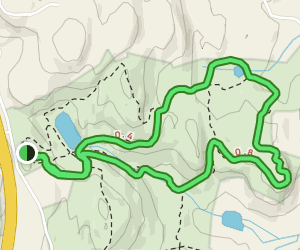 Lost Pond and Sentry Ridge Loop - New York | AllTrails