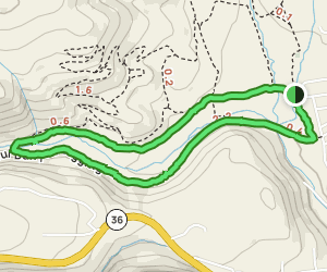 Old Paul Bunyan Road and Canyon Trail Loop: 51 Reviews, Map ...