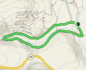 Old Paul Bunyan Road and Canyon Trail Loop: 52 fotos - California ...