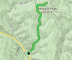 Gallegos Peak via Flechado Canyon: 54 Reviews, Map - New Mexico | AllTrails