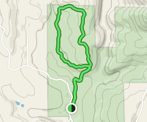 Stifle Claim Trail to Traverse Creek Loop Trail: 110 Reviews, Map ...