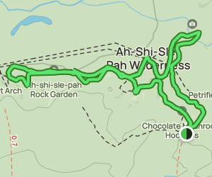 Ah-shi-sle-pah Trail: 317 Reviews, Map - New Mexico | AllTrails