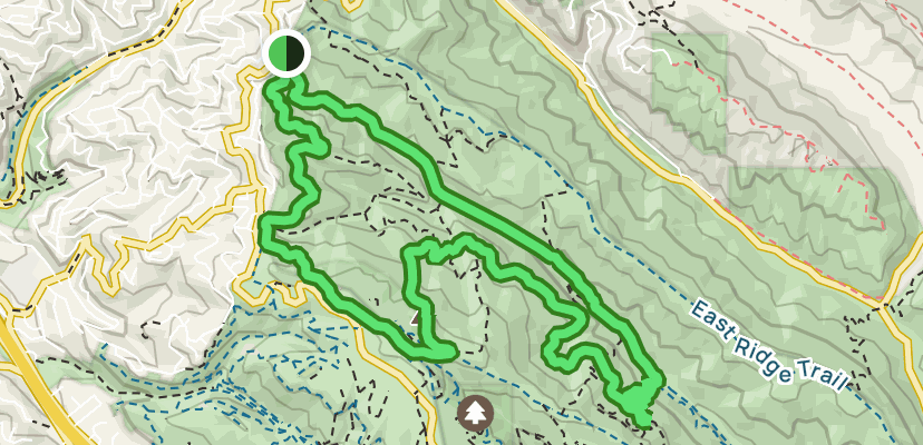 Stream, Fern, French, Redwood Peak and West Ridge Loop: 253 Reviews, Map -  California | AllTrails