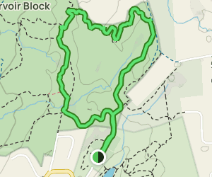 Quillinan Reservoir White Loop | Map, Guide - Connecticut | AllTrails