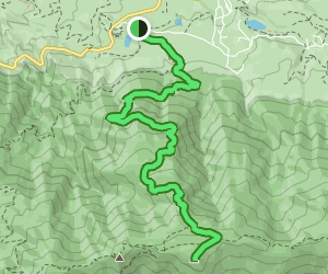 Anderson Peak Via The Forsee Creek Trail: 172 Reviews, Map - California 