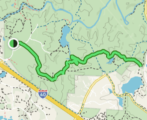 Loblolly Trail, North Carolina - 1,673 Reviews, Map | AllTrails