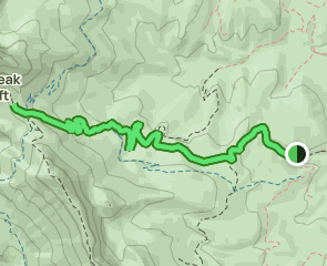 Ross Peak, Montana - 141 Reviews, Map | AllTrails