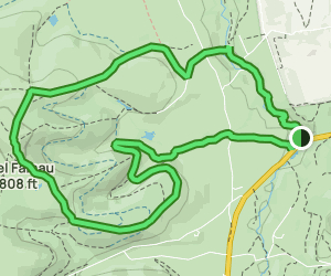 Loggerheads and Moel Famau Circular: 379 Reviews, Map - Flintshire ...