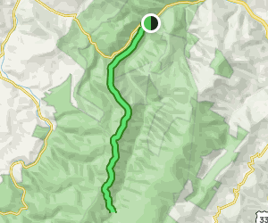 Allegheny Mountain Trail | Map, Guide - West Virginia | AllTrails