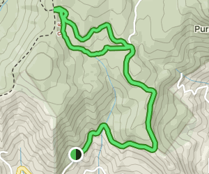 Ferguson Cabin Trail Loop: 233 Reviews, Map - North Carolina | AllTrails