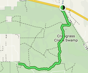 Florida National Scenic Trail - V1 Trail Us Florida Florida National Scenic Trail Mainline Route In Bull Creek At Map 51830302 1689170735 300w250h En US I 1 Style 3 