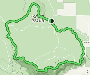 Sycamore Rim Trail: 297 Reviews, Map - Arizona | AllTrails