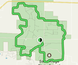Sand Ridge Yellow Trail: 56 Reviews, Map - Illinois | AllTrails