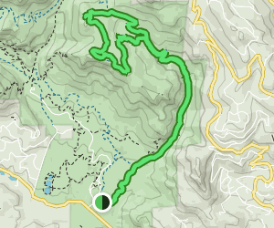 Mason Creek Trail to Bear Paw Trail: 896 Reviews, Map - Colorado ...