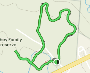 Touhey Family Preserve Loop, New York - 70 Reviews, Map | AllTrails