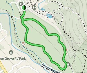 Redwood Grove Loop Trail: 1654 Reviews, Map - California | AllTrails