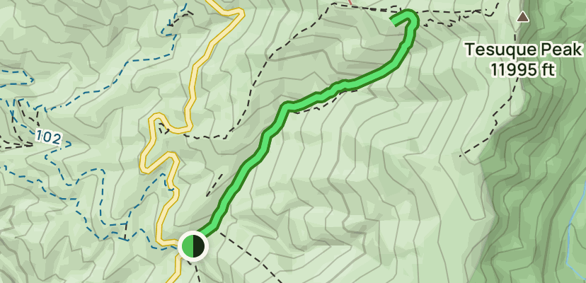 Tesuque Creek North Fork Trail: 338 Reviews, Map - New Mexico | AllTrails