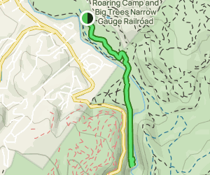 Henry Cowell Redwoods to Garden of Eden: 367 Reviews, Map - California ...