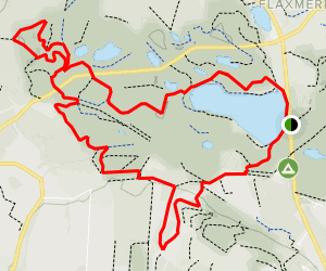 delamere forest mtb trails