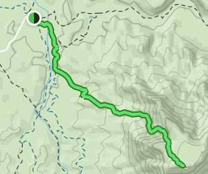 Picketpost Mountain Trail: 1899 Reviews, Map - Arizona | AllTrails