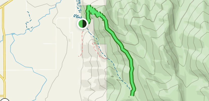 Oakley Ridge Trail: 93 Reviews, Map - Utah | AllTrails