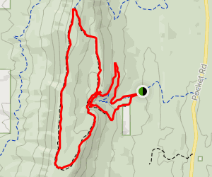 Johns Mountain and Pinhoti Loop - Georgia | AllTrails