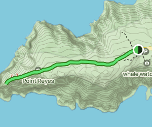 Point Reyes Lighthouse Visitor Center Trail: 539 Reviews, Map ...