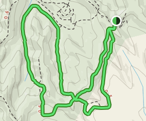 Badger Ridge Trail Loop: 271 Reviews, Map - Iowa | AllTrails