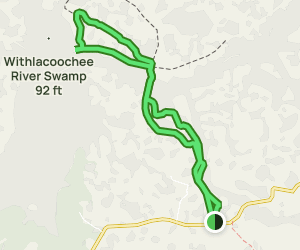 Green Swamp East Trail 80 Reviews - V1 Trail Us Florida Green Swamp East Trail 2 At Map 60602269 1689170735 300w250h En US I 1 Style 3 