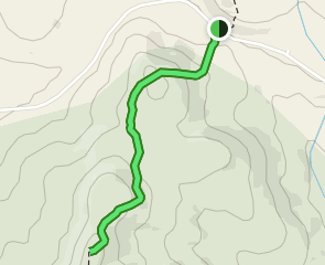 Plot Road to Roundtop Shelter, Vermont - 40 Reviews, Map | AllTrails