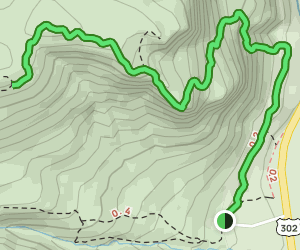 Frankenstein Cliff Trail: 89 Reviews, Map - New Hampshire | AllTrails