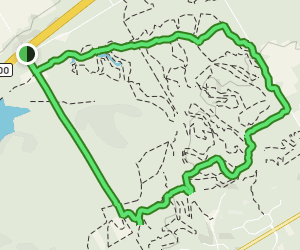 copeland forest mtb trail map