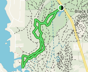 Black Diamond to Lake Sawyer Trail, Washington - 270 Reviews, Map ...