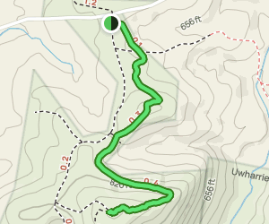 Uwharrie Trail to Little Long Mountain: 103 Reviews, Map - North
