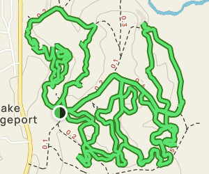 Twin Hills Dirtbike/OHV Path: 30 Reviews, Map - Texas | AllTrails